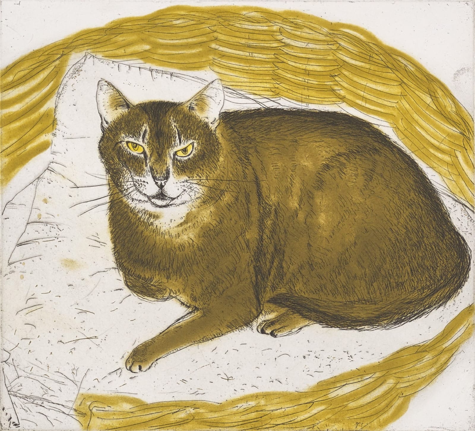 Elizabeth Blackadder RSA, Abyssinian Cat in a Basket, 1995