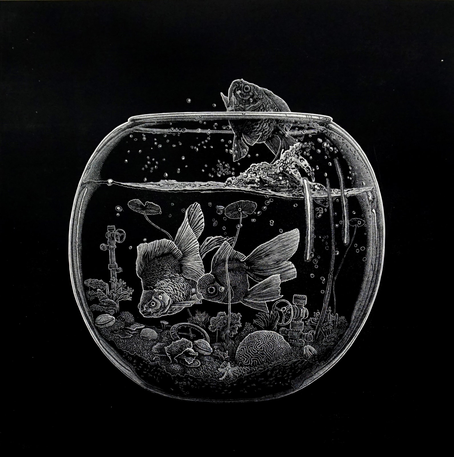 Ade Adesina RSA, The Great Escape, 2016