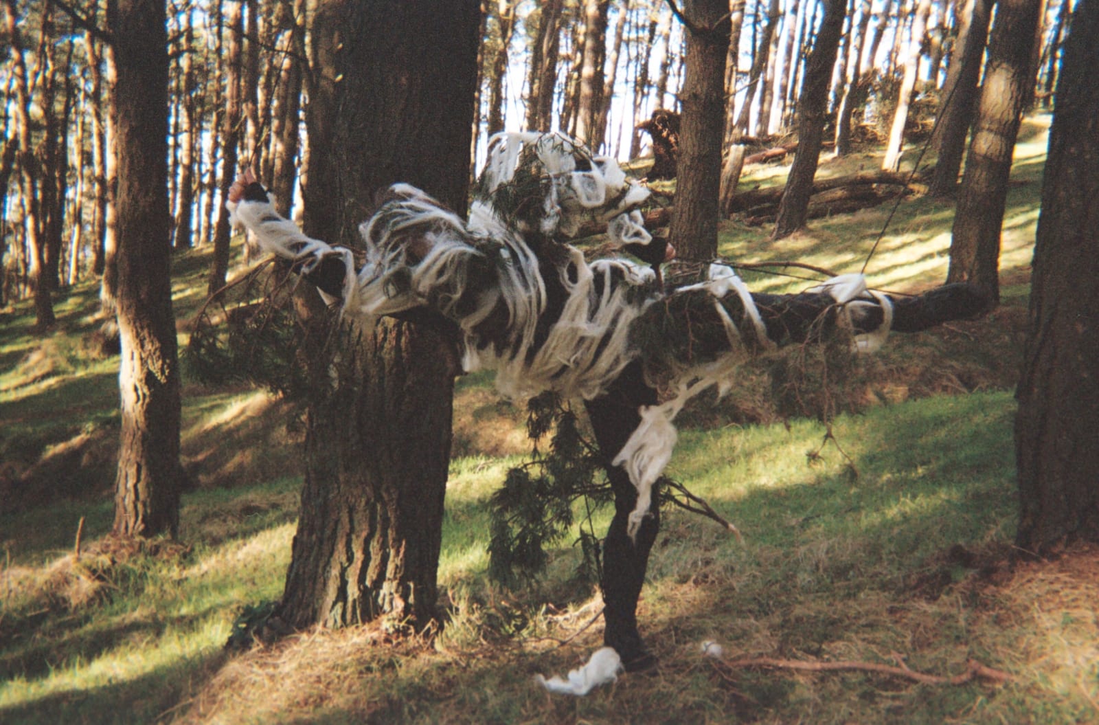 Amanda Cathy, Pomegranate Pasta, My Love 16, 2023-5