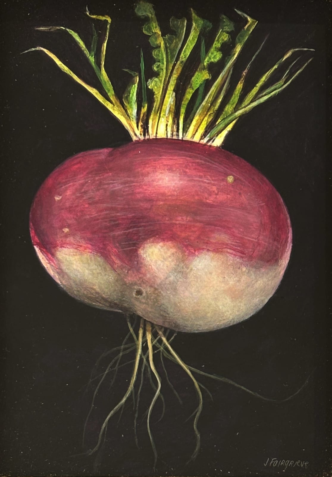 James H. Fairgrieve RSA, Summer Garden: Big Turnip