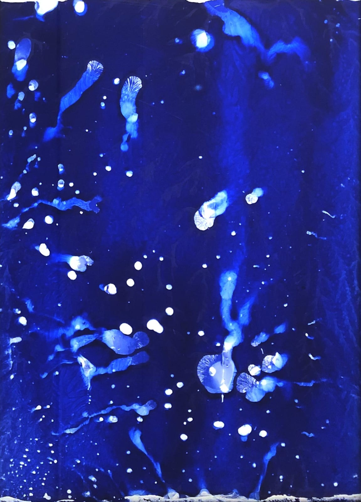 Glen Onwin RSA, Thinking like the Earth - the mind of nature IV