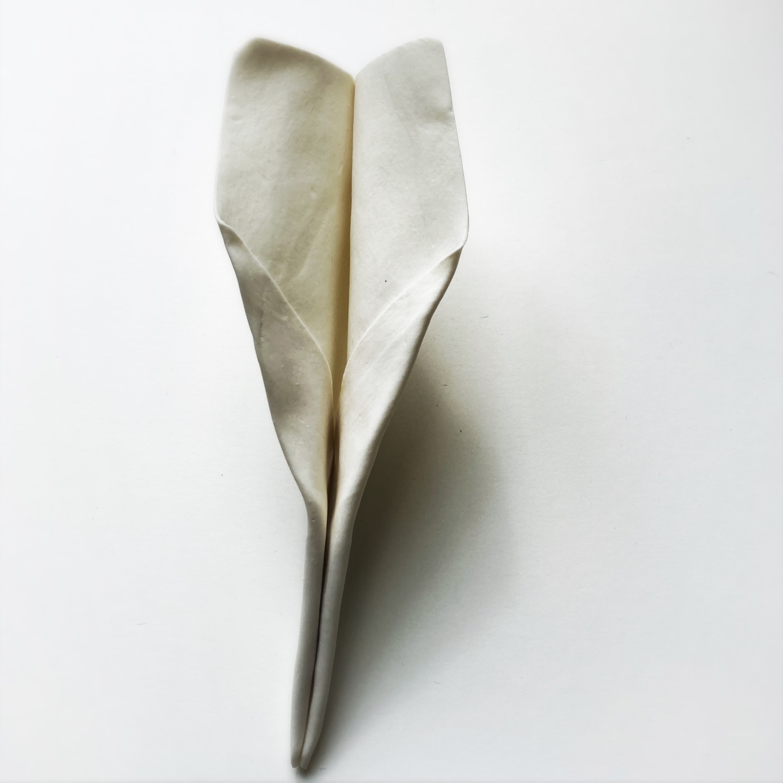 Leena Nammari RSA (Elect), Grounded IV, 2021