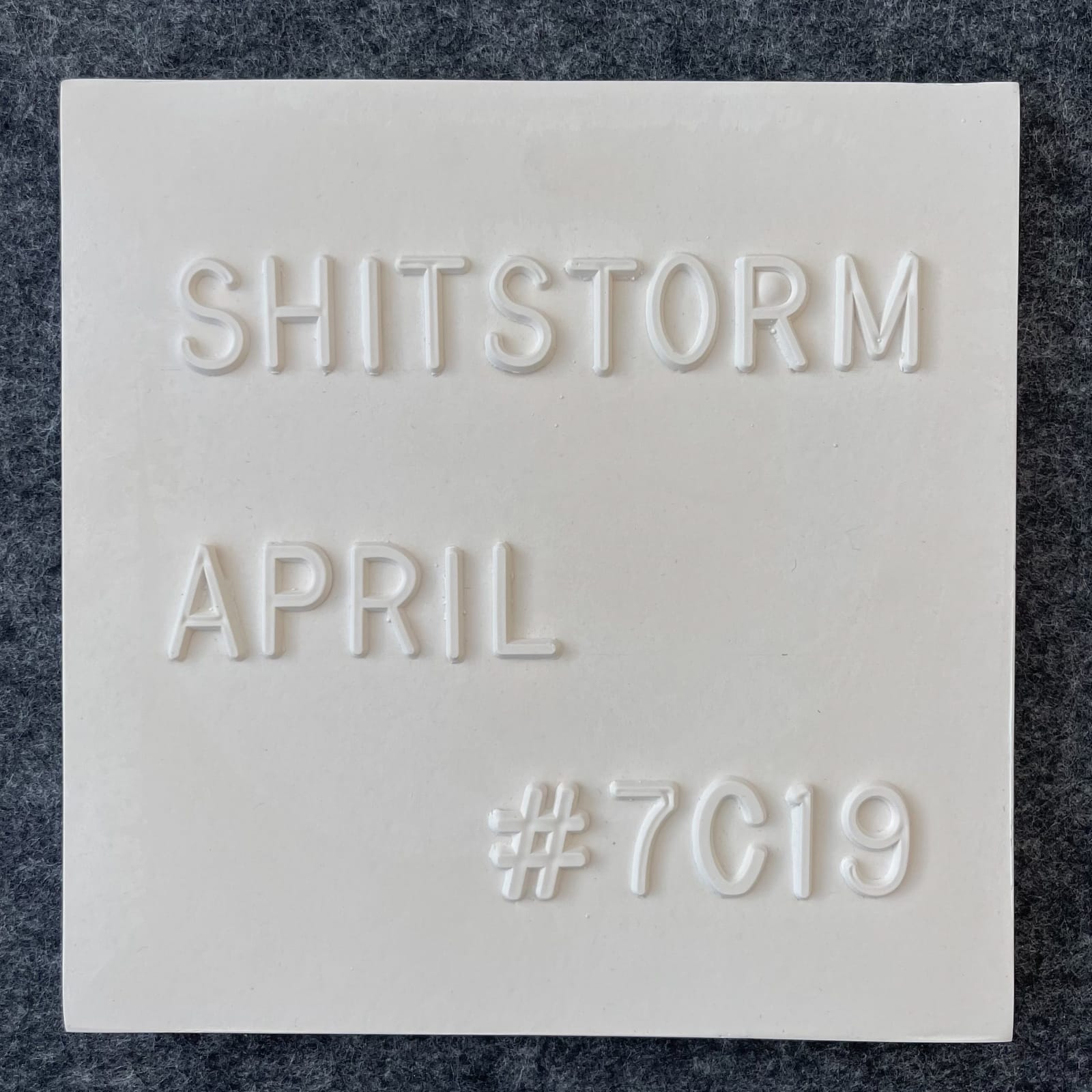 Rachel McClure, Shitstorm, 2020