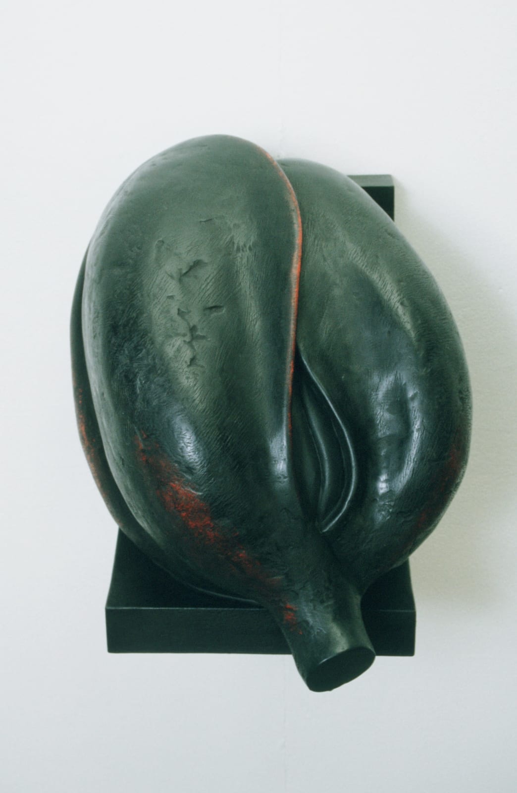 James Castle RSA, Tulip Head