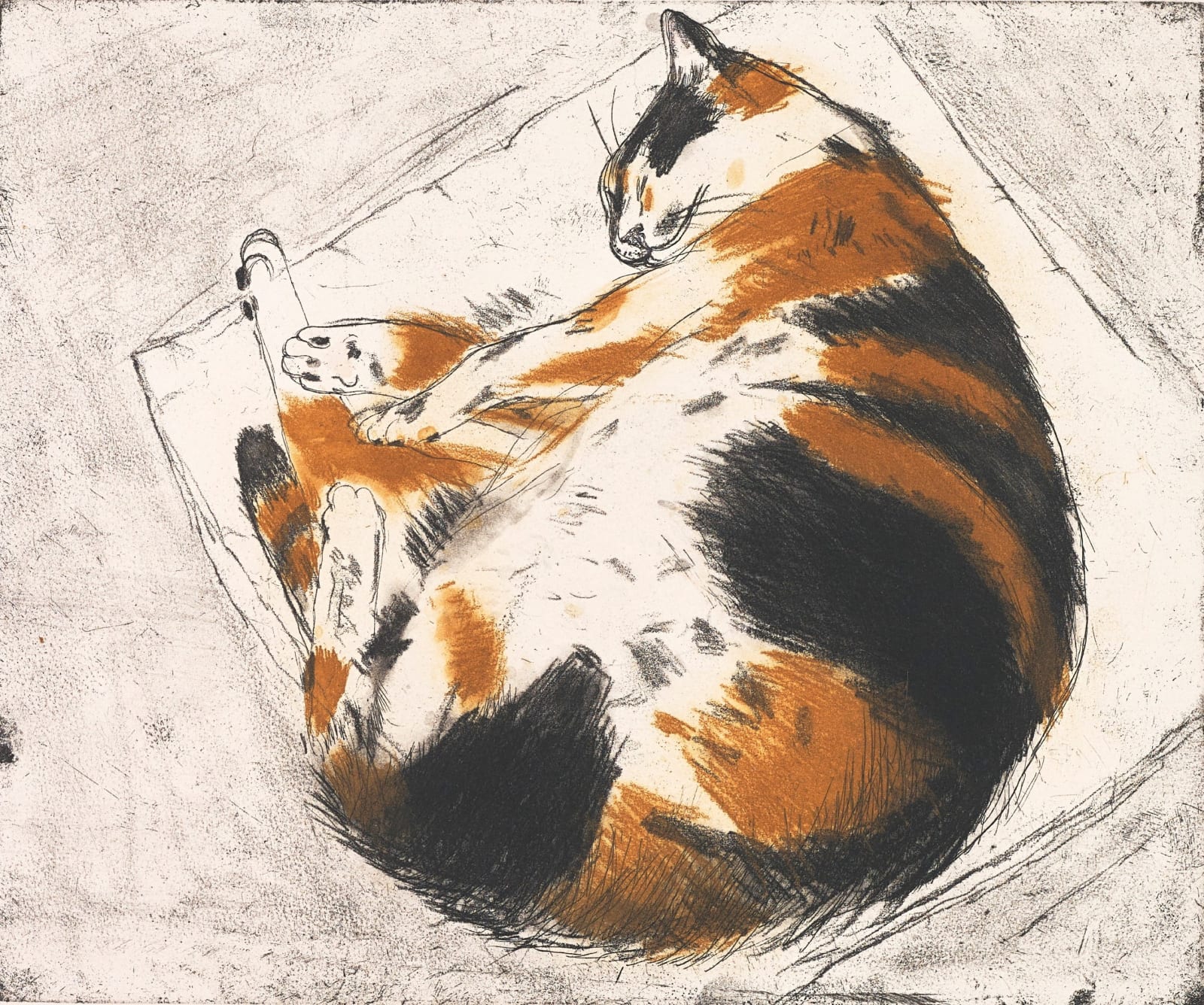 Elizabeth Blackadder RSA, Coco Sleeping, 2003