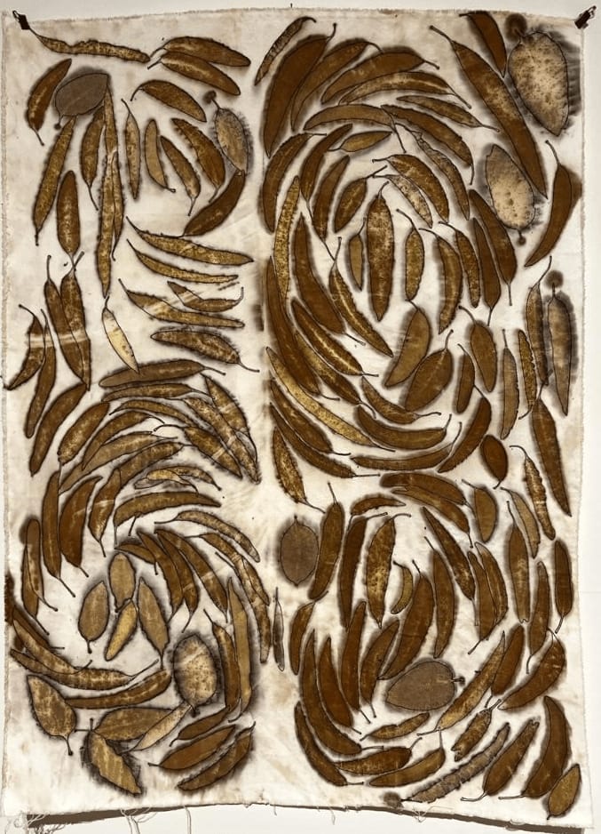 Eva Margaret Brown, V. Metaphor V