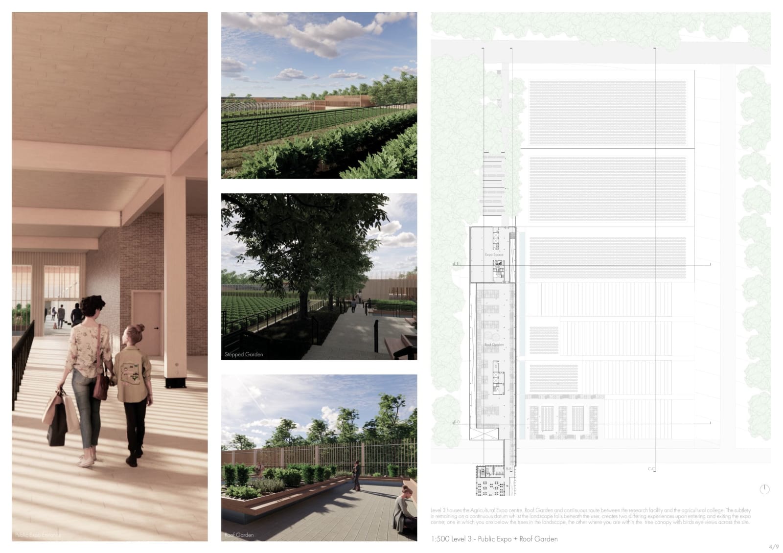 Ramsay Taylor, Growing for the future 4/9