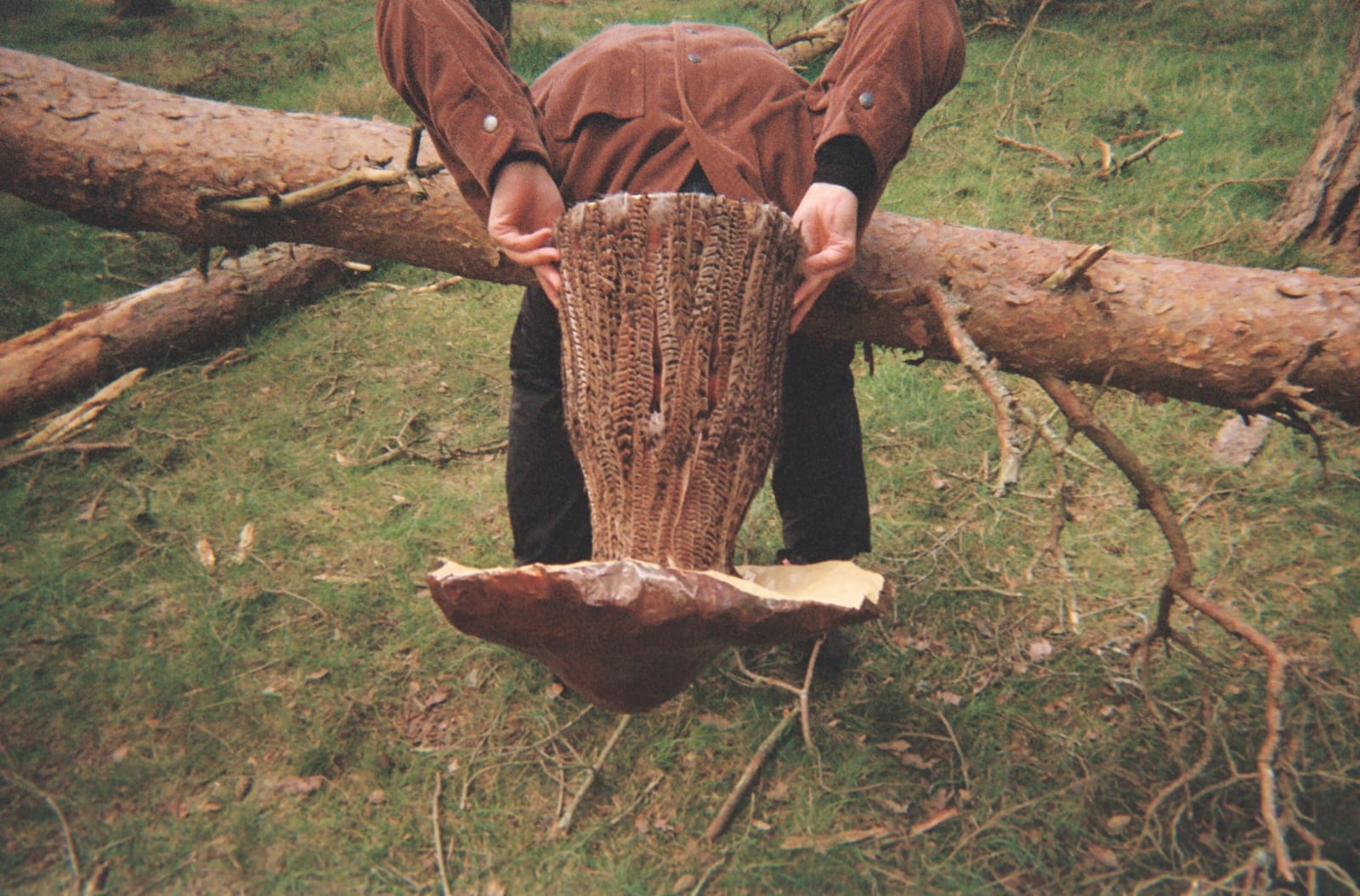 Amanda Cathy, Pomegranate Pasta, My Love 5, 2023-5