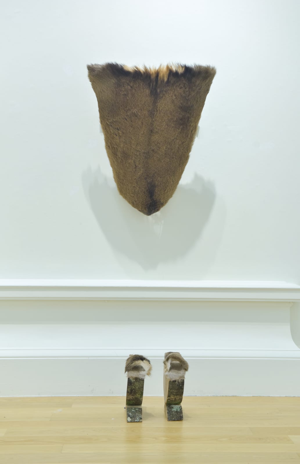 Zuleika Connolly-Jones, Shield III, 2021/22