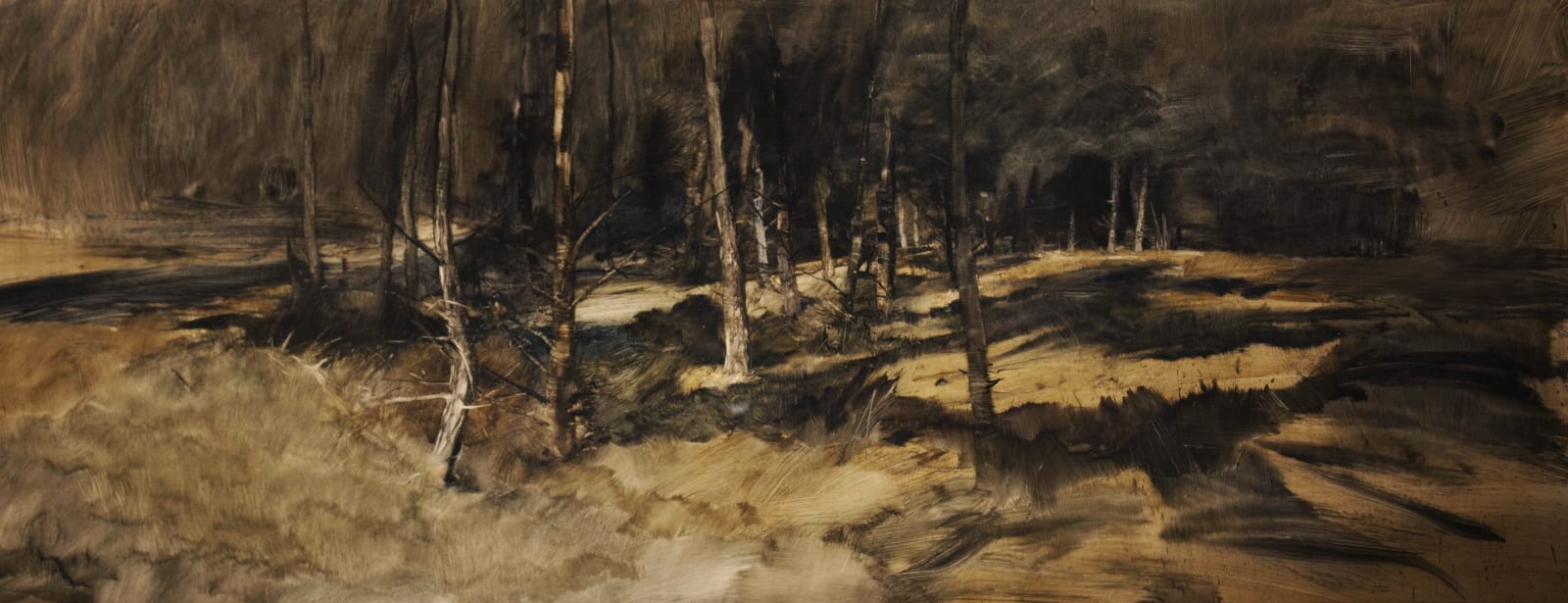 James Morrison RSA, Montreathmont Forest, 1990