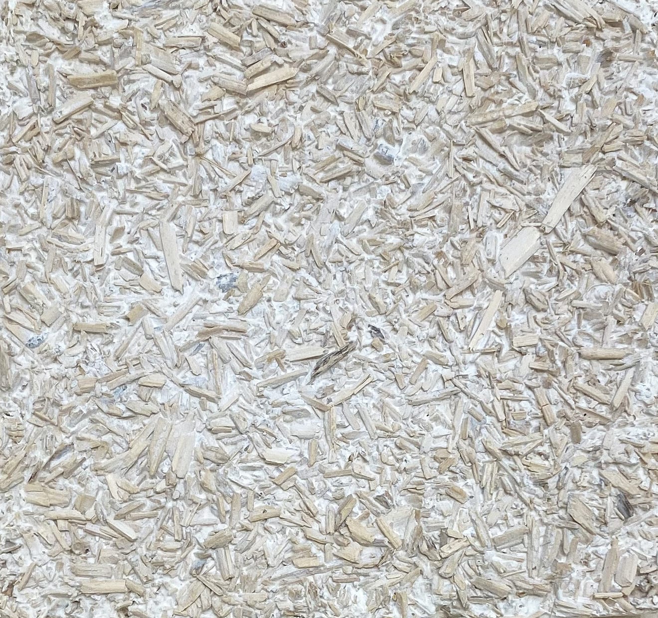 Alexandra Adams and Euan Campbell, Mycelium Material Sample, 2020