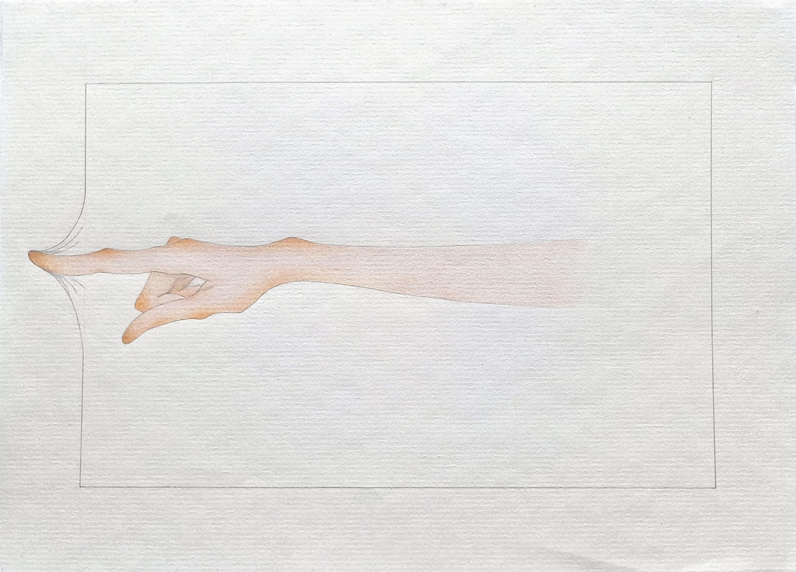 Isla Davie, Untitled