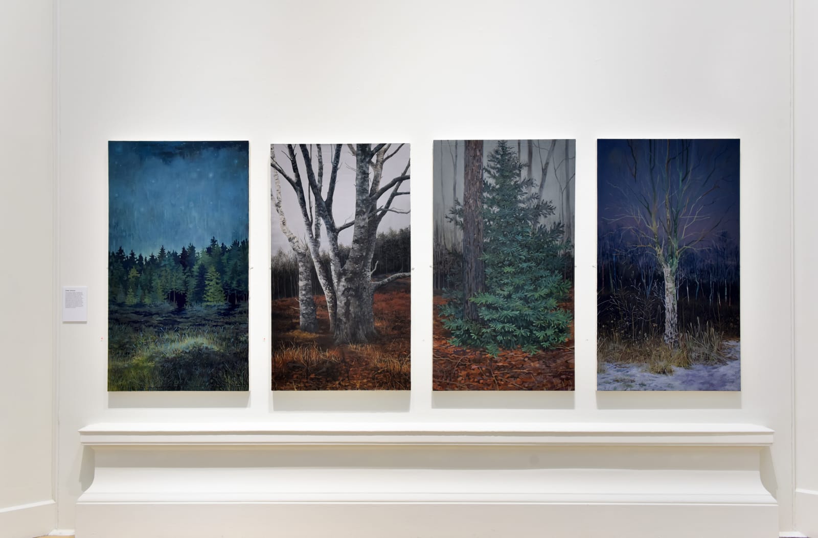 Fanny Arnesen, Nattfrost