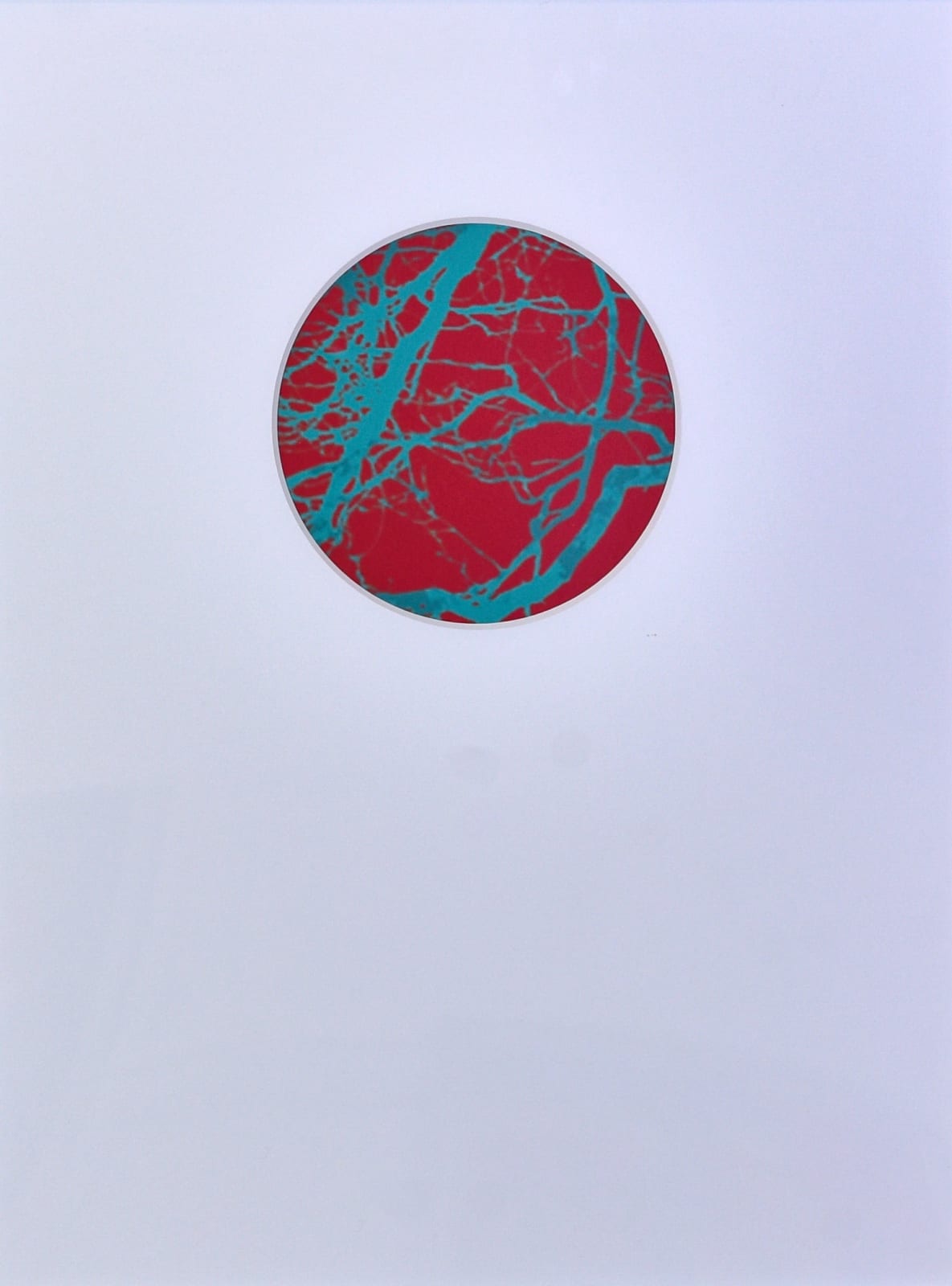 Kate Whiteford RSA, Petri Culture (Quercus) III