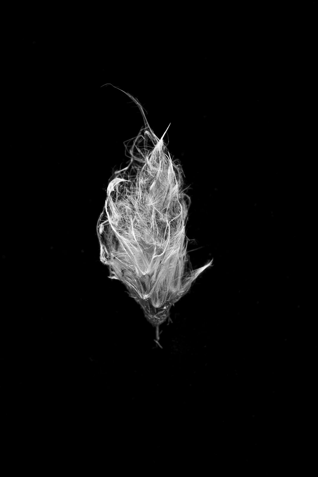 Norman McBeath RSA, Tota Pulchra Es (you are most beautiful), 2025