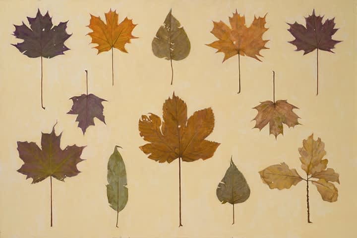 James H Fairgrieve RSA, All the leaves