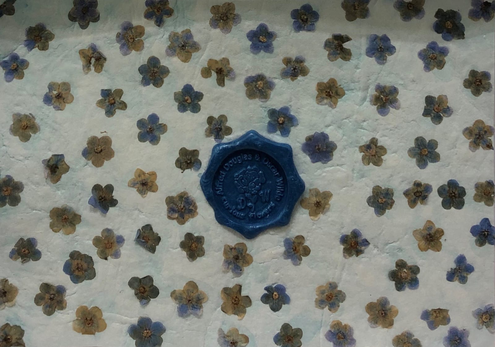 Catriona Clark, Curious Flowers: Forget Me Not #2, 2024