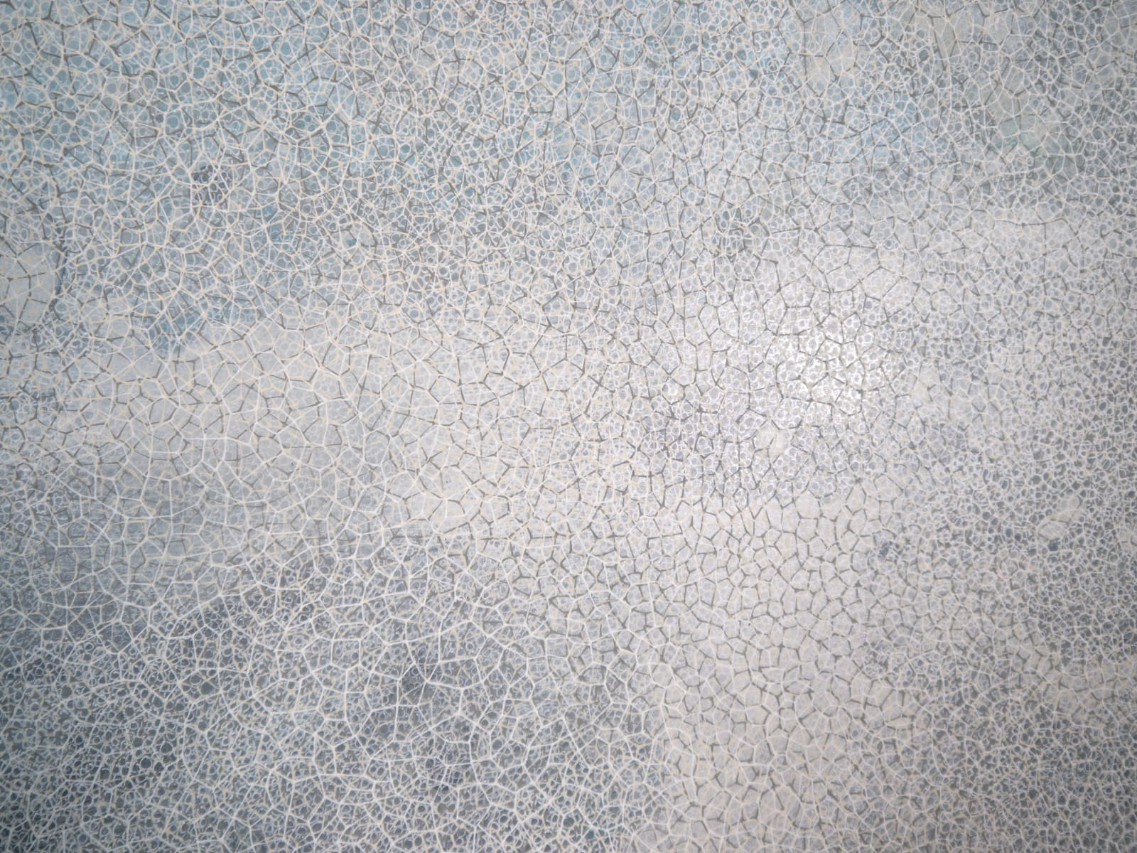 Samantha Clark, Haar, 2024