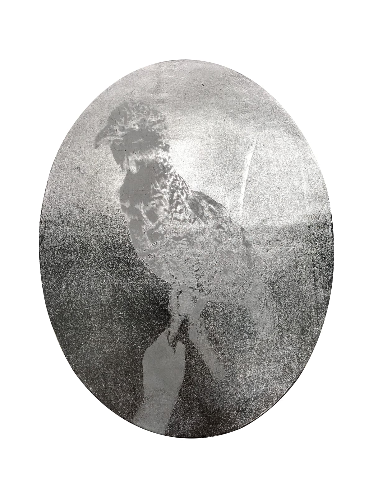 Jessica Harrison RSA, Taxidermy Antique Female Capercaillie (Tetro urogallus). Height is 48cm., 2019