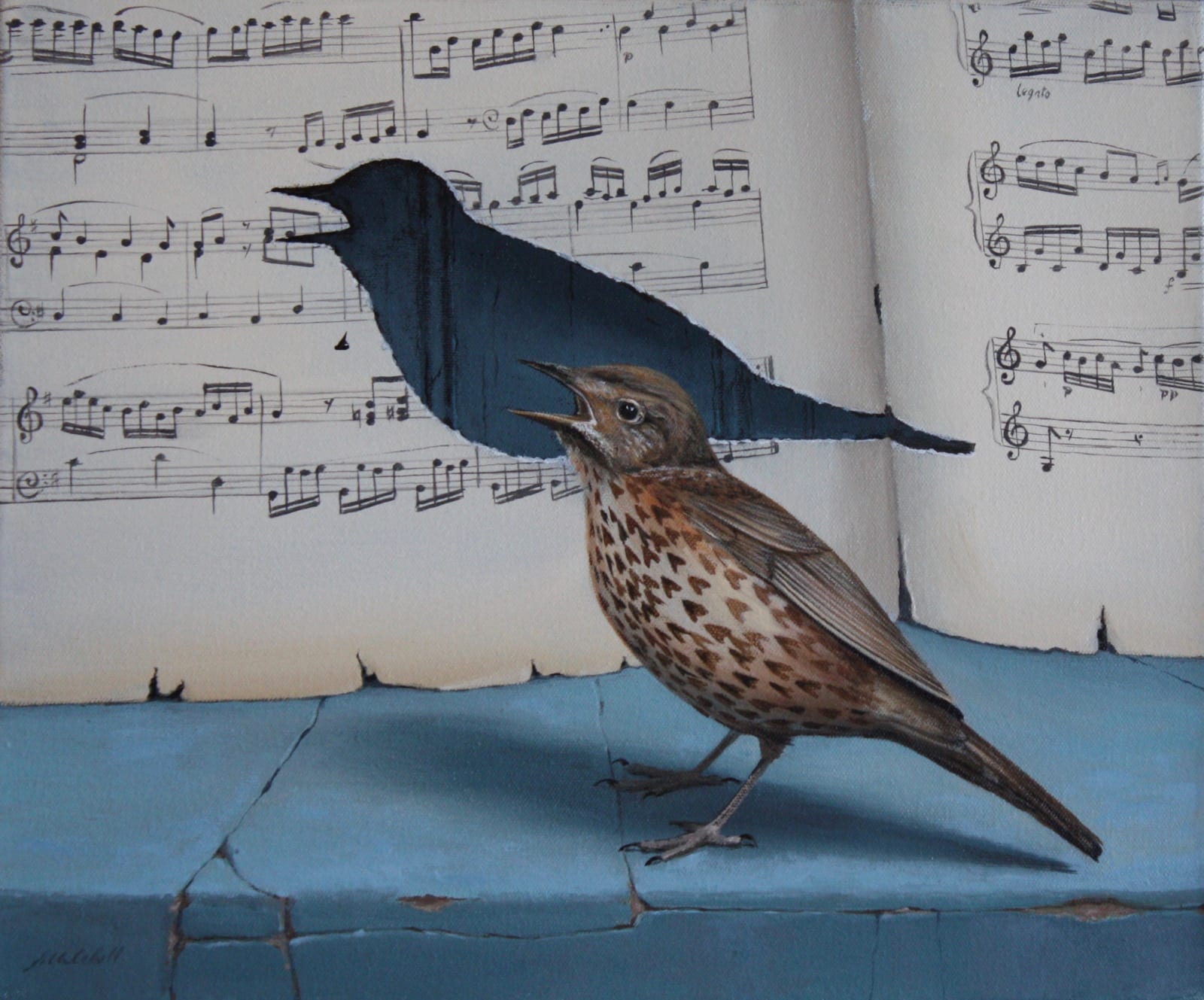 Gordon Mitchell RSA, Burd