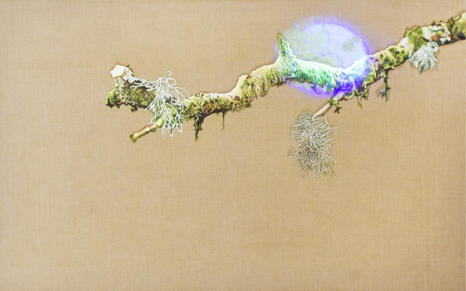 Rachy McEwan, Modern Synthesis, 2021