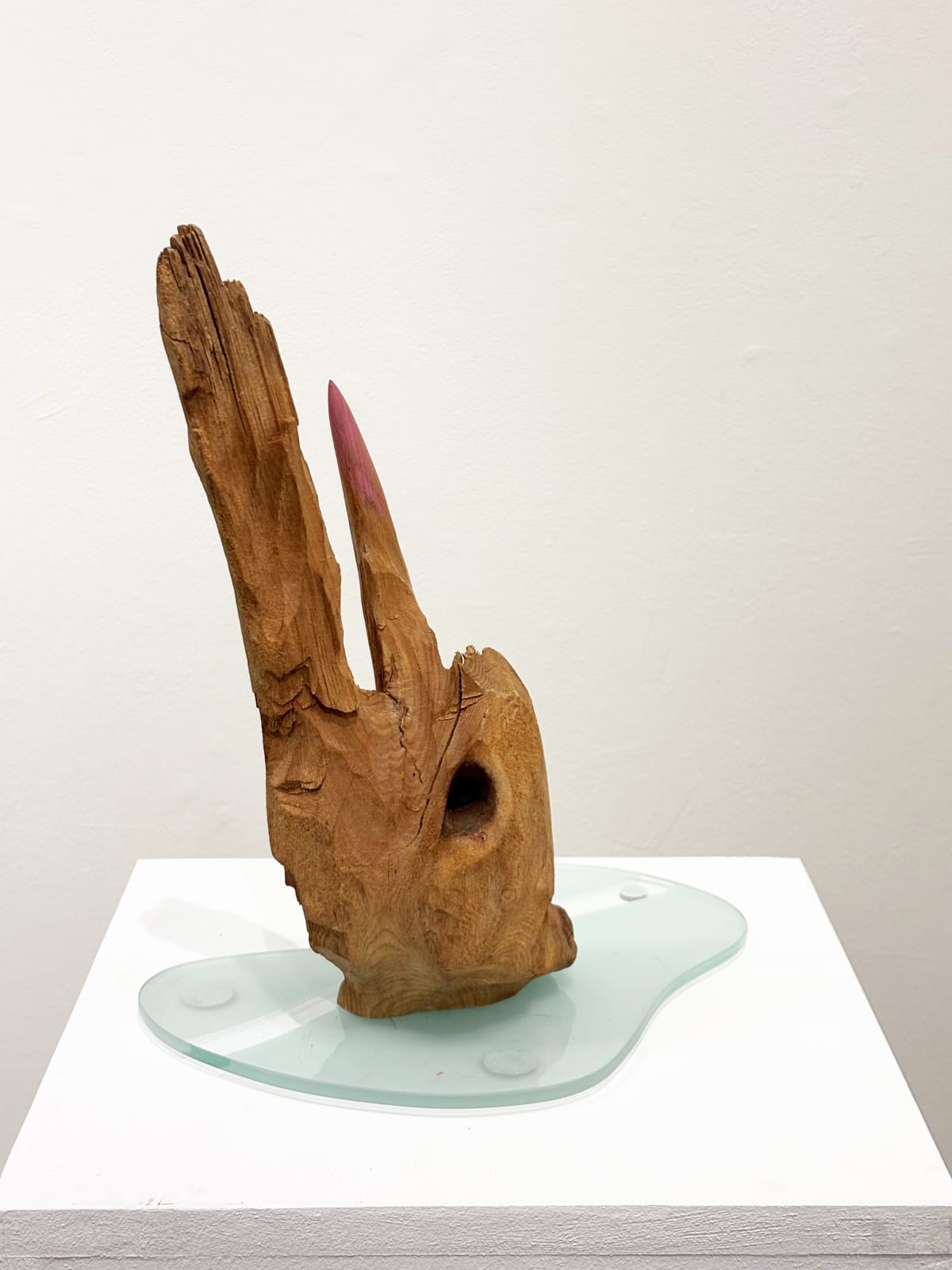 Gareth Fisher PRSA, Morfologica