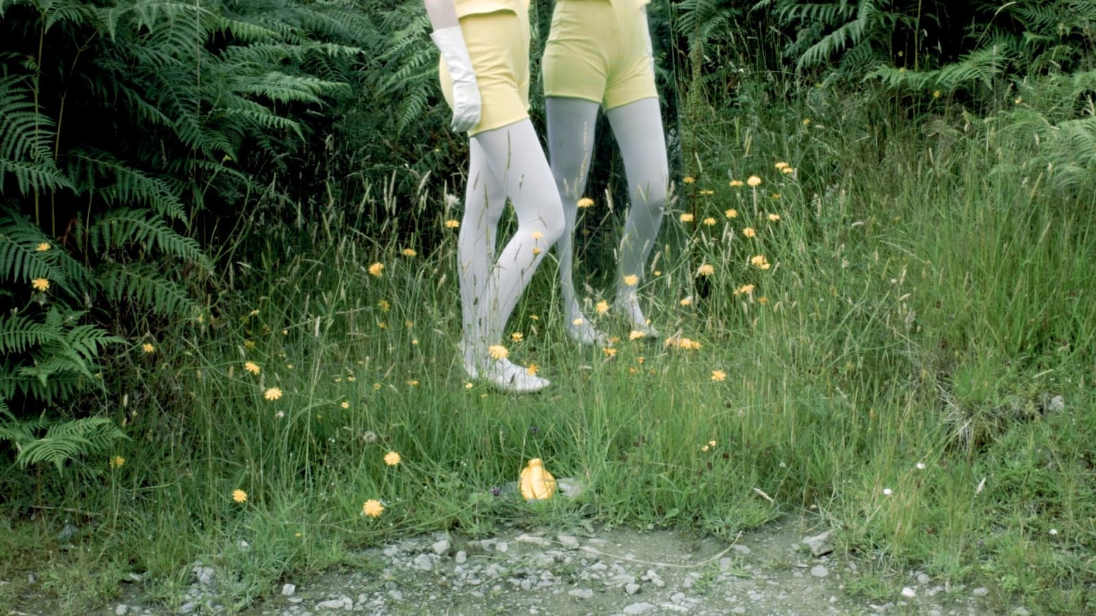 MV Brown, Mirror Image, 2019