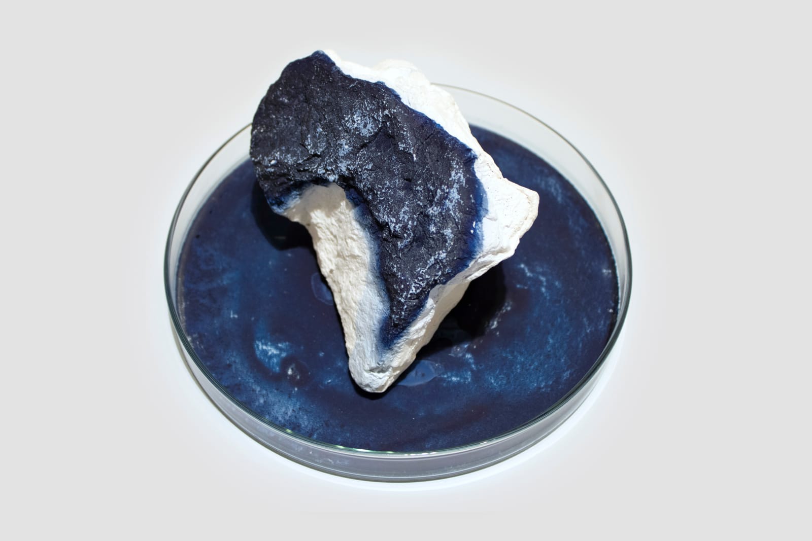 Anne Bevan RSA (Elect) + Mark Edmonds, all manner of singular forms (Erratic 5), 2024