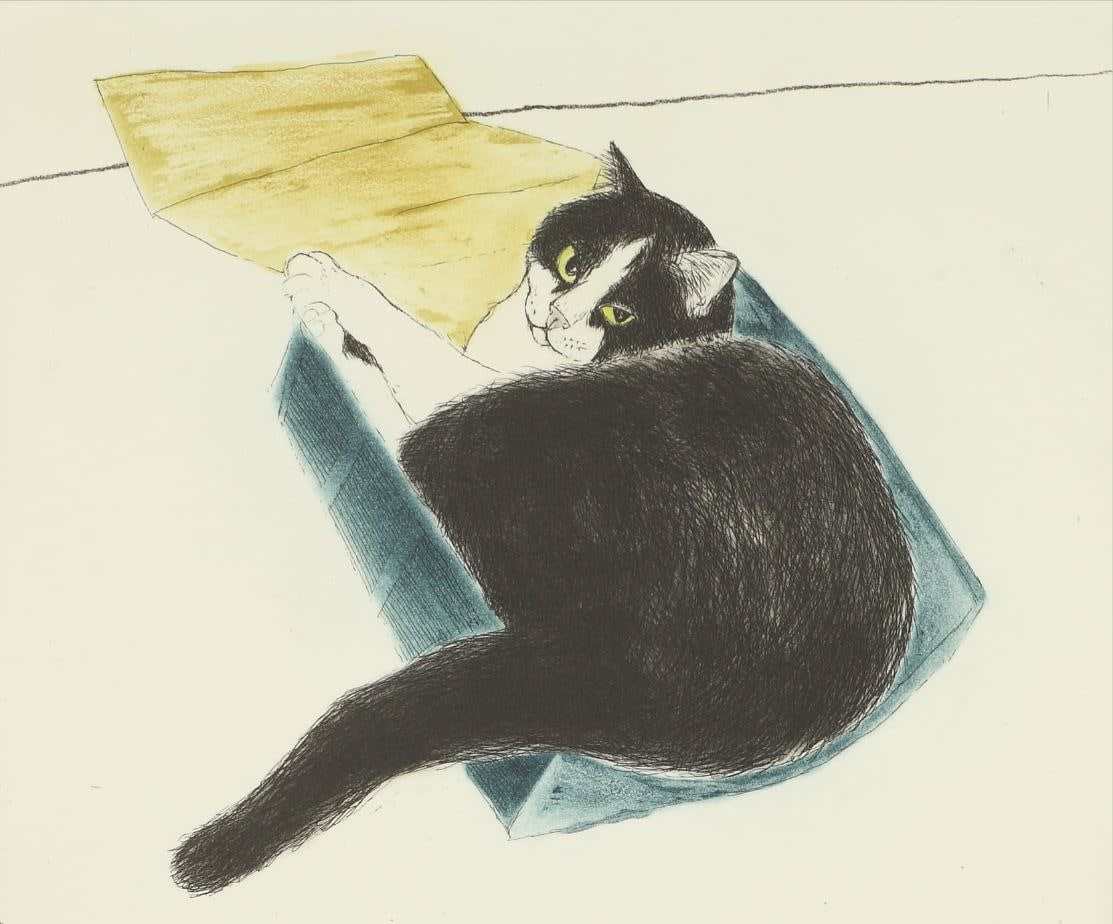 Elizabeth Blackadder RSA, Fred in a Box, 2003