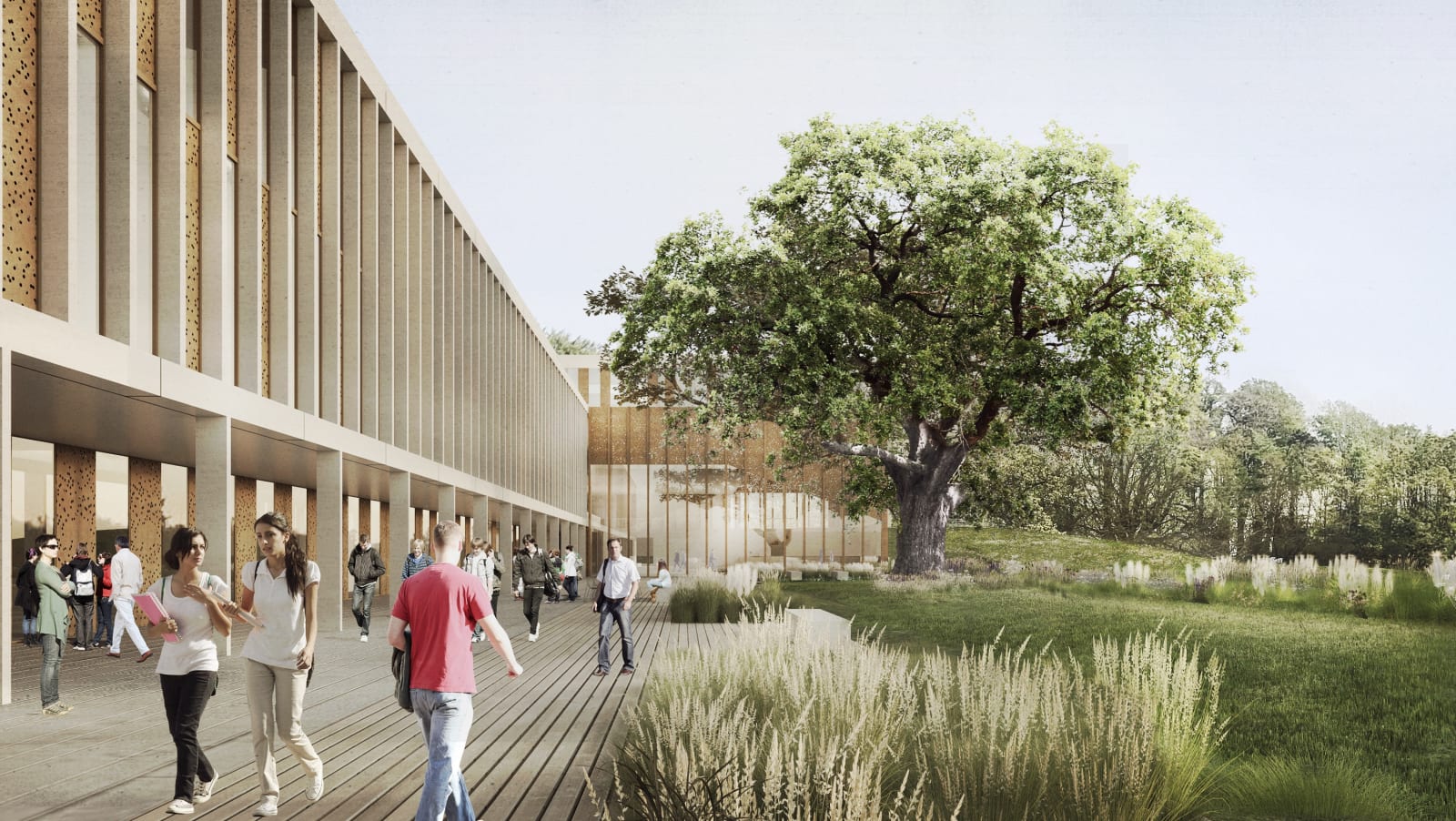 John McAslan RSA - John McAslan + Partners, Lancaster University Health Innovation Hub