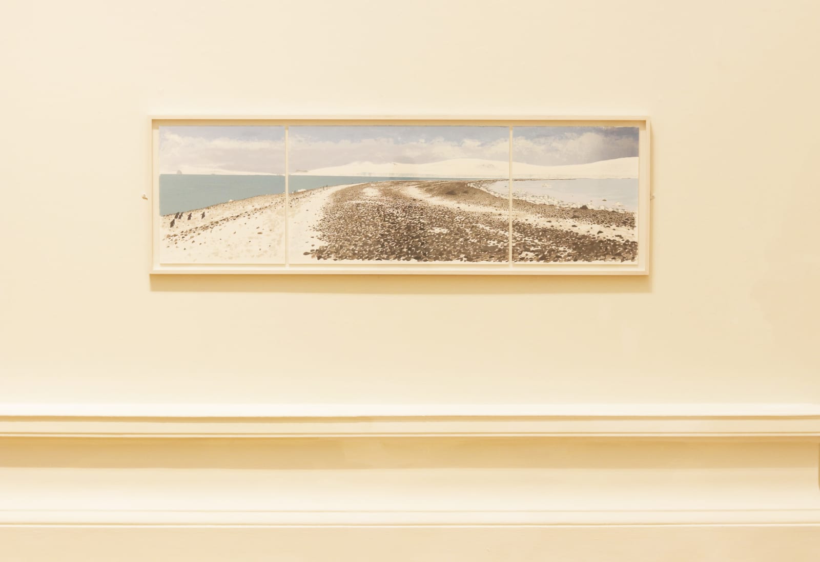 Frances Walker RSA, Antarctic Shore Walk, 2011
