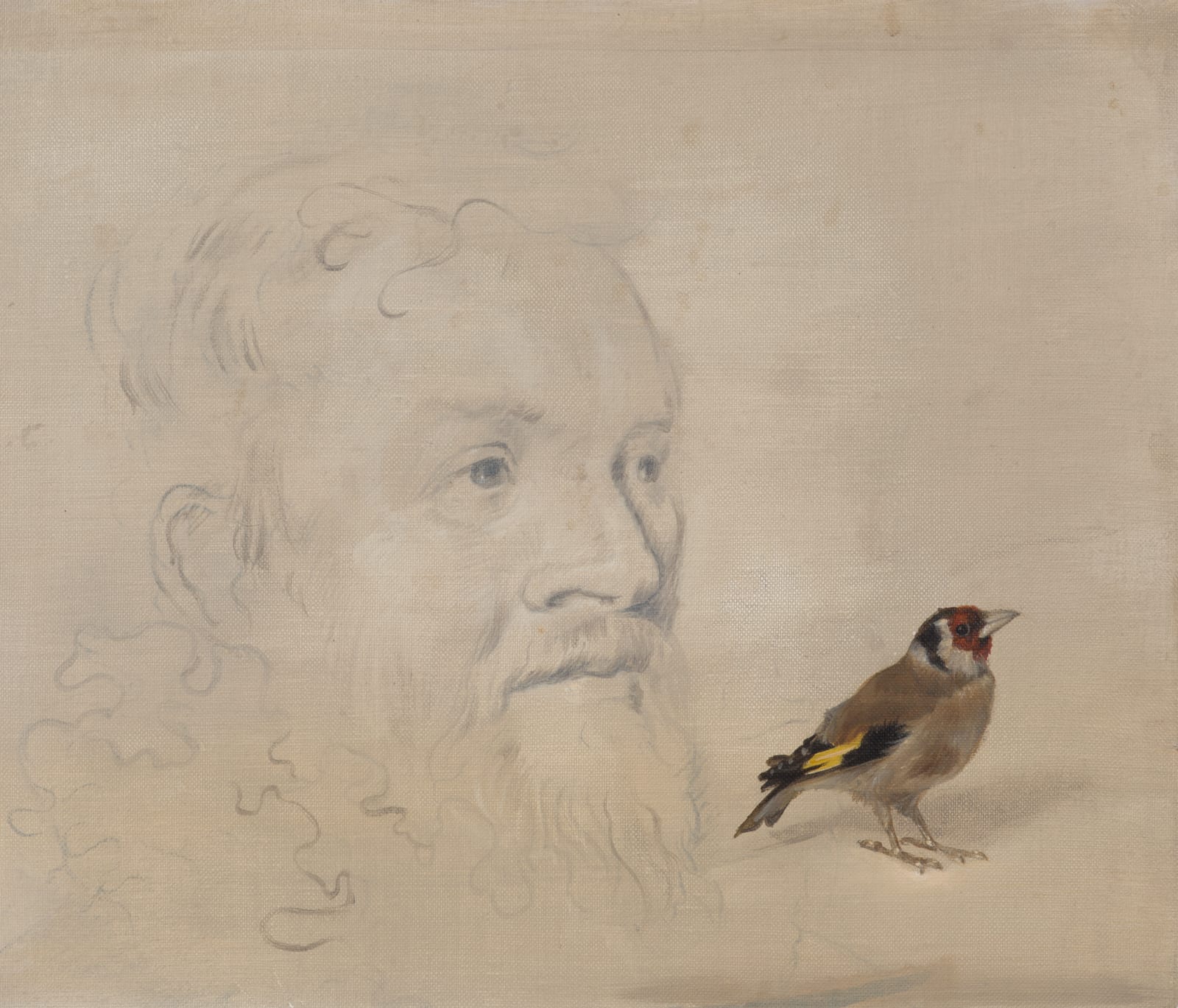 Derrick Guild RSA, Natural History No. 2, 2020