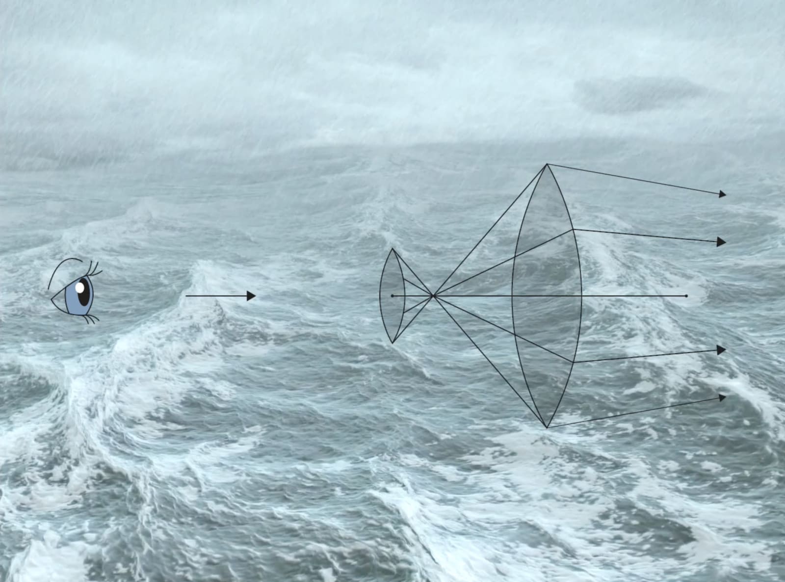 Marie-Chantal Hamrock, BOUY