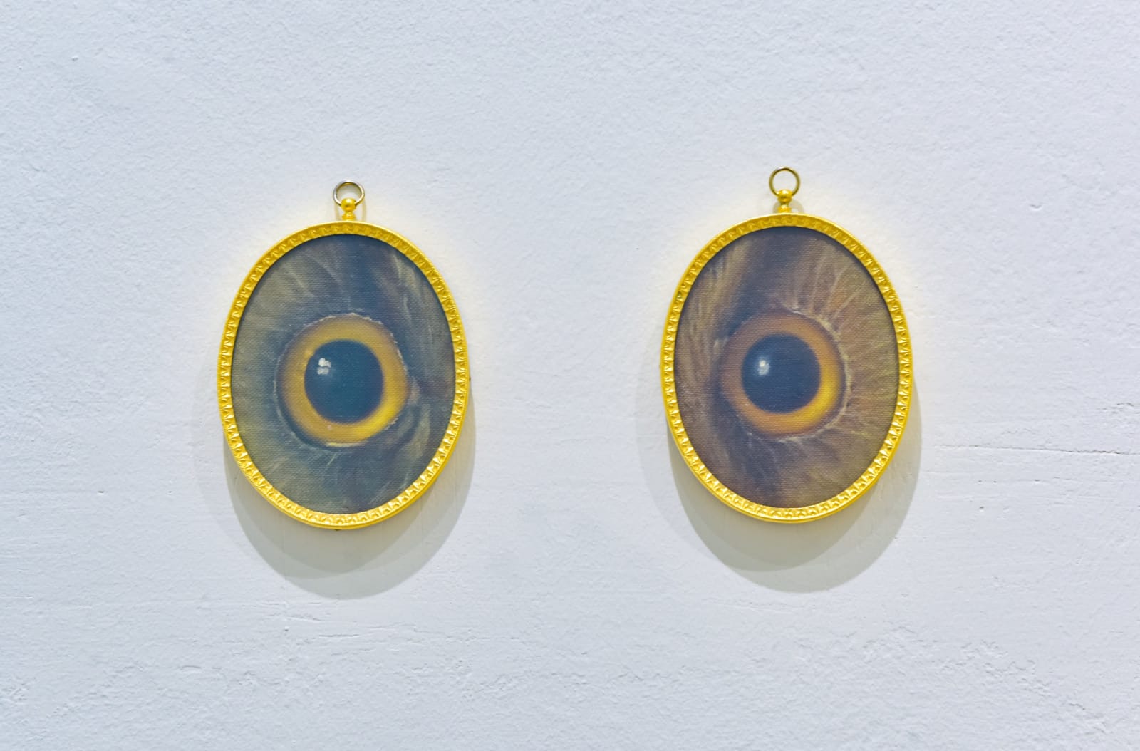 Derrick Guild RSA, Night vision