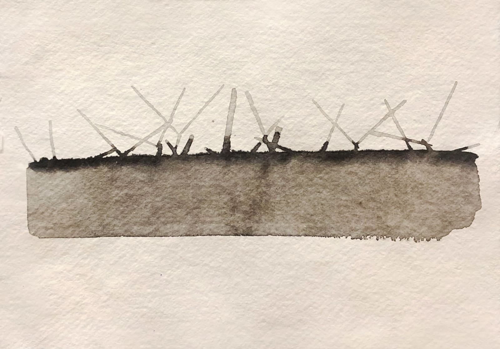 Mary Bourne RSA, Turbine Horizon 1