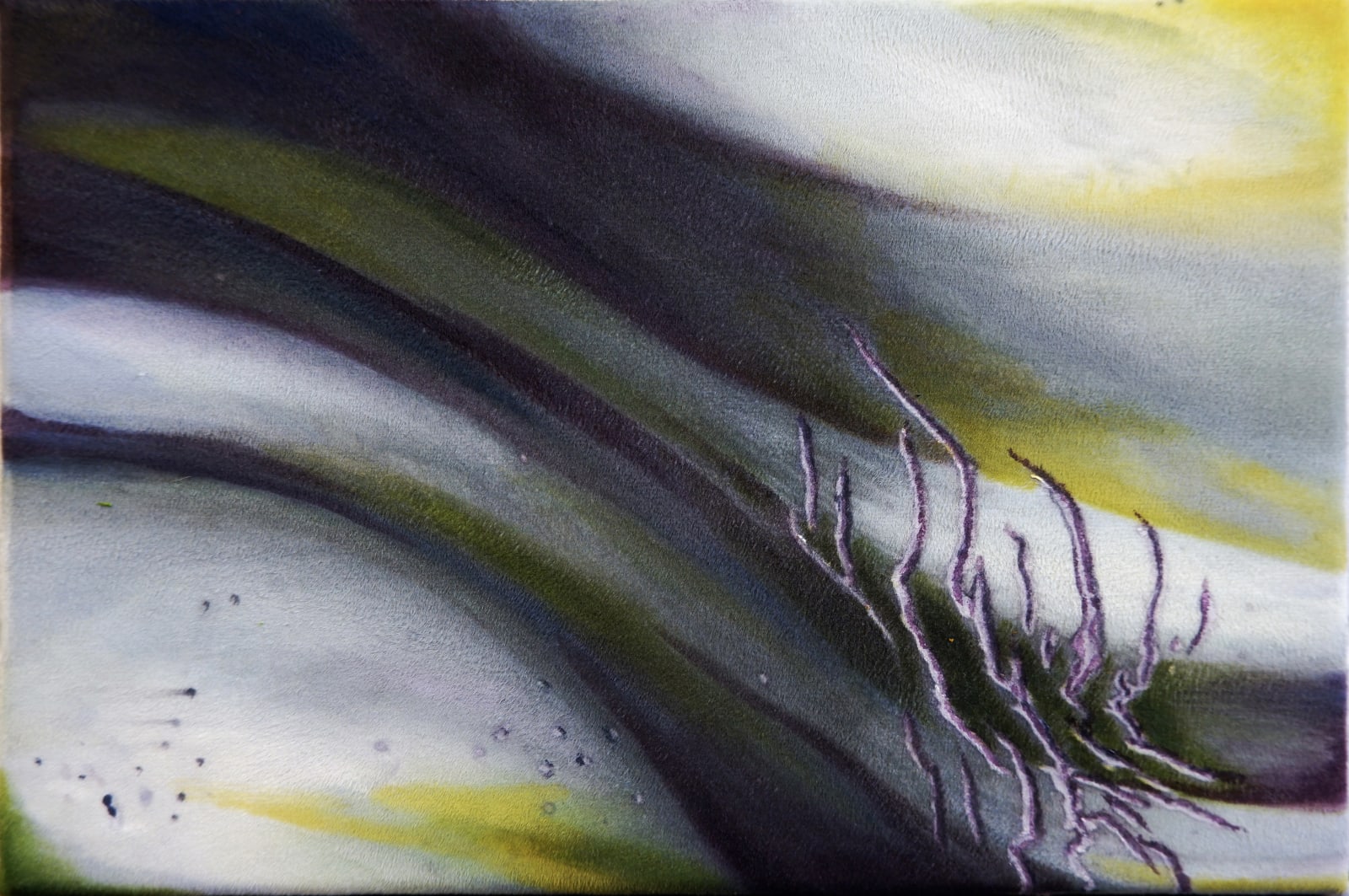 Sofia Hallström, Foliage, 2022