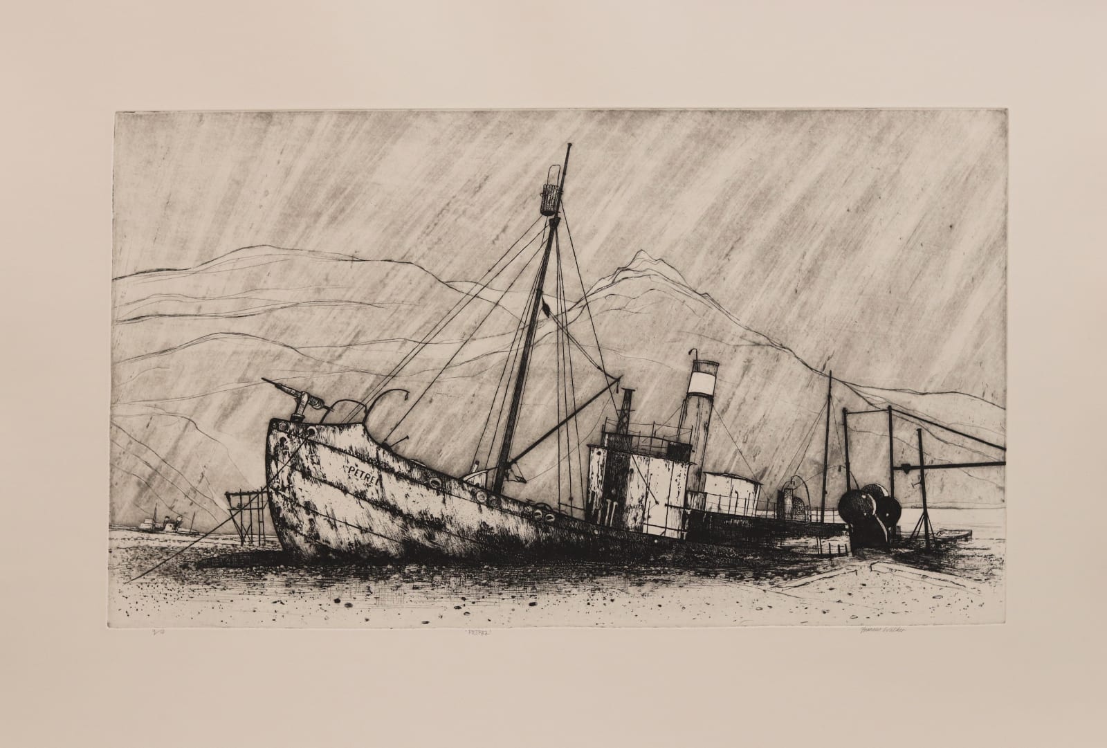 Frances Walker RSA, Petrel, South Georgia, 2010