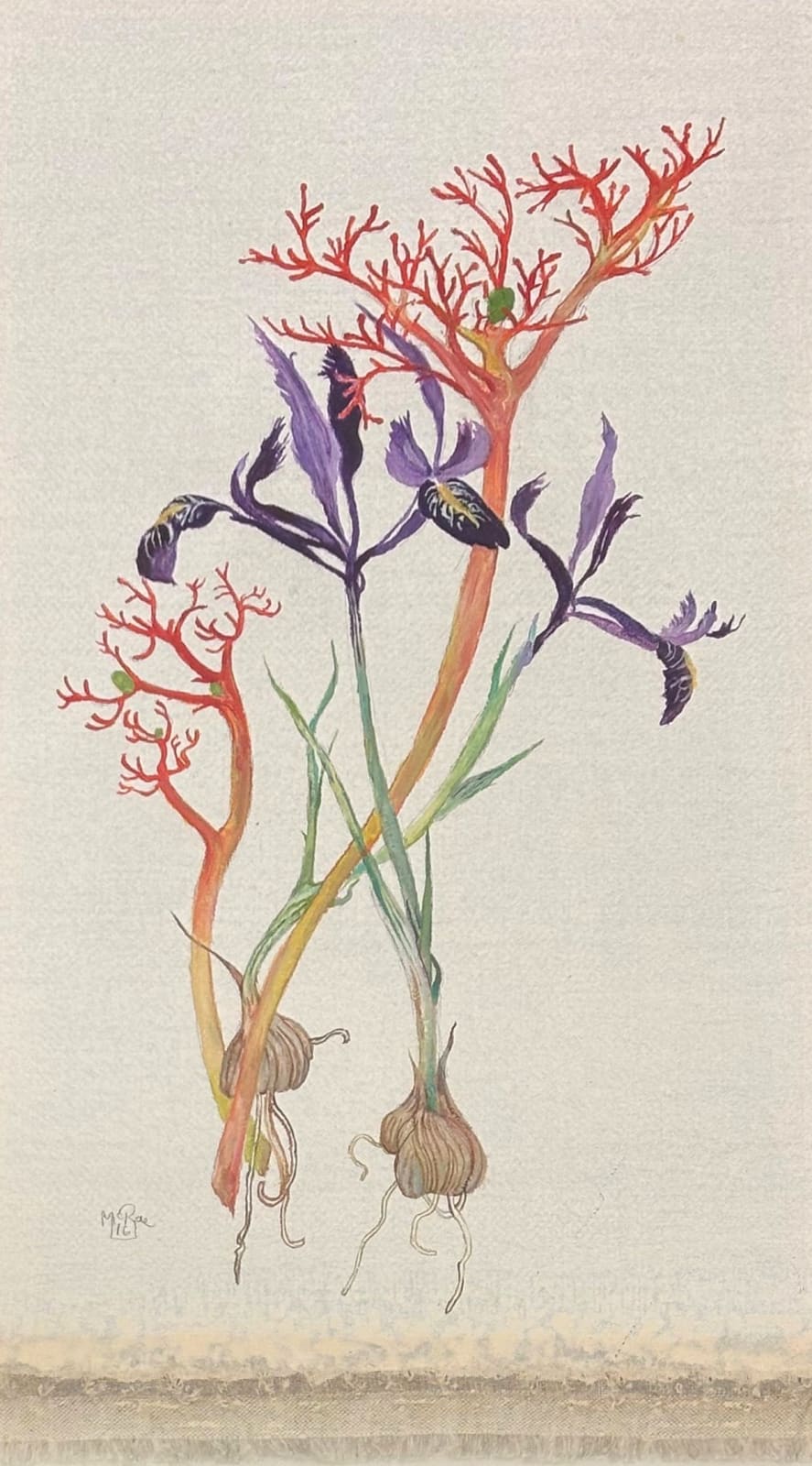 Jennifer McRae RSA, Mixed Species