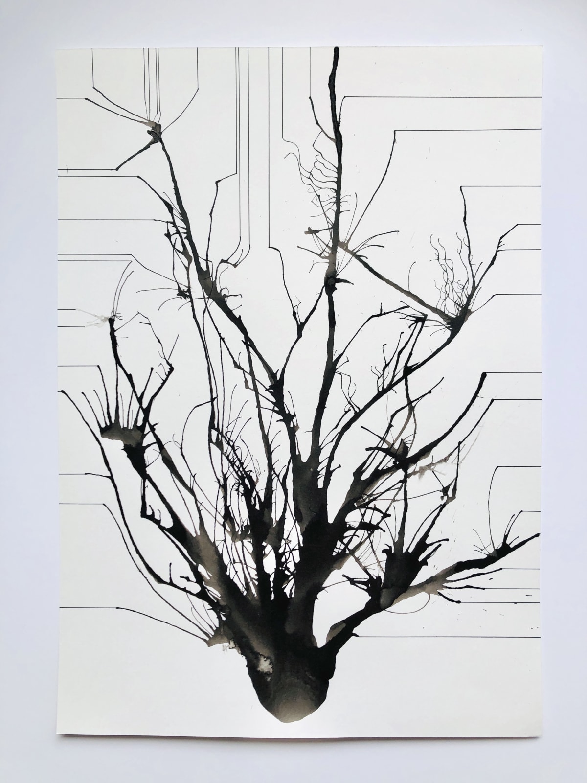 Annie Cattrell RSA, Holding Breath (13), 2021