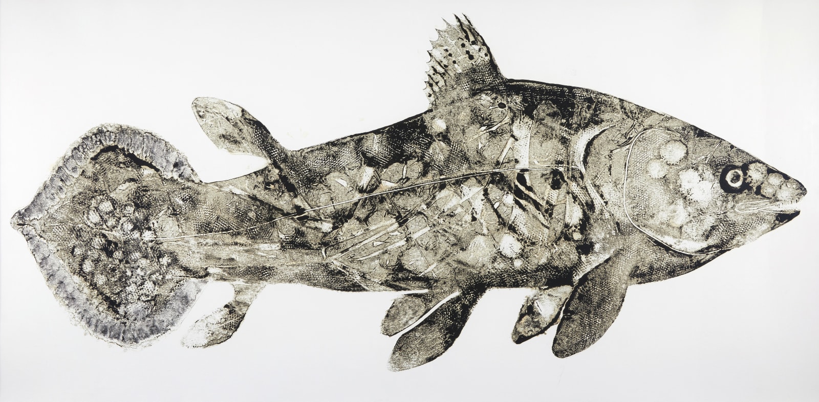 Stuart Mackenzie RSA, Species (Coelacanth) 1, 2015