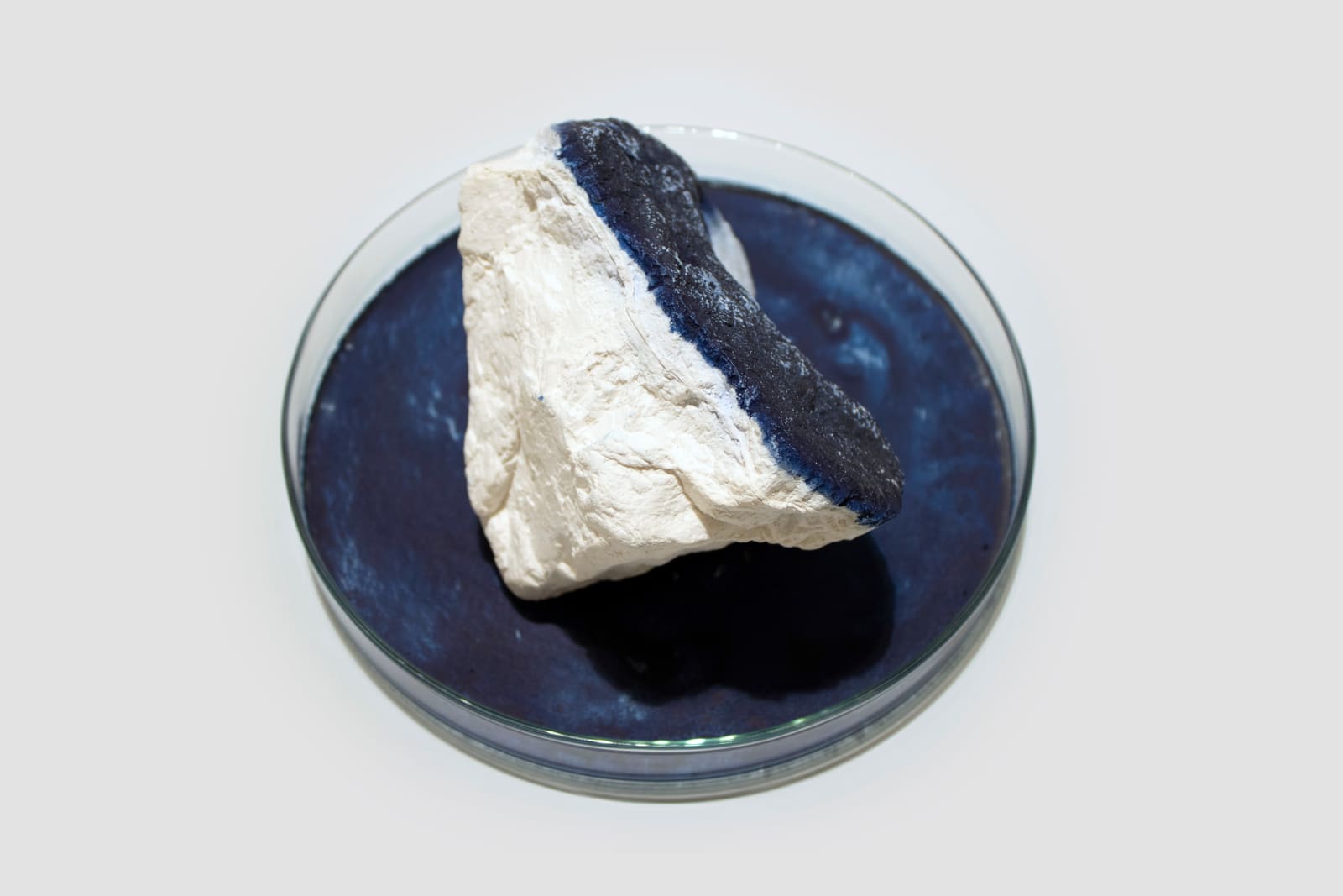 Anne Bevan RSA (Elect) + Mark Edmonds, all manner of singular forms (Erratic 5), 2024