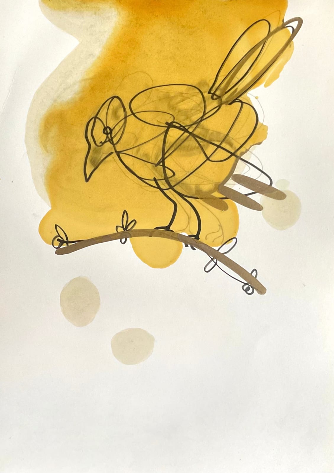 Stuart Mackenzie RSA, Species Morphology/ Amber Finch 2