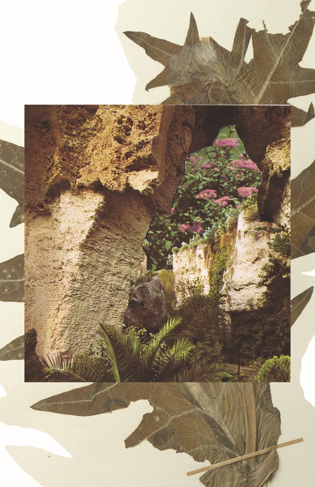 Natasha Faye Jensen, Gazing the Hothouse 3