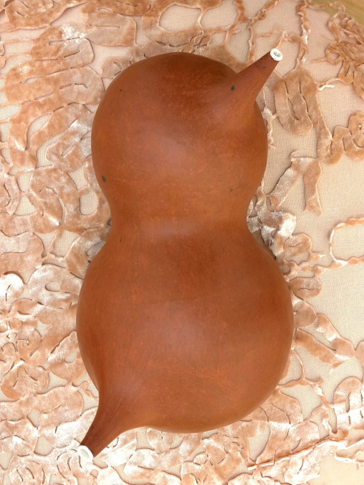 Rowan Roscher, Vital 2, 2025