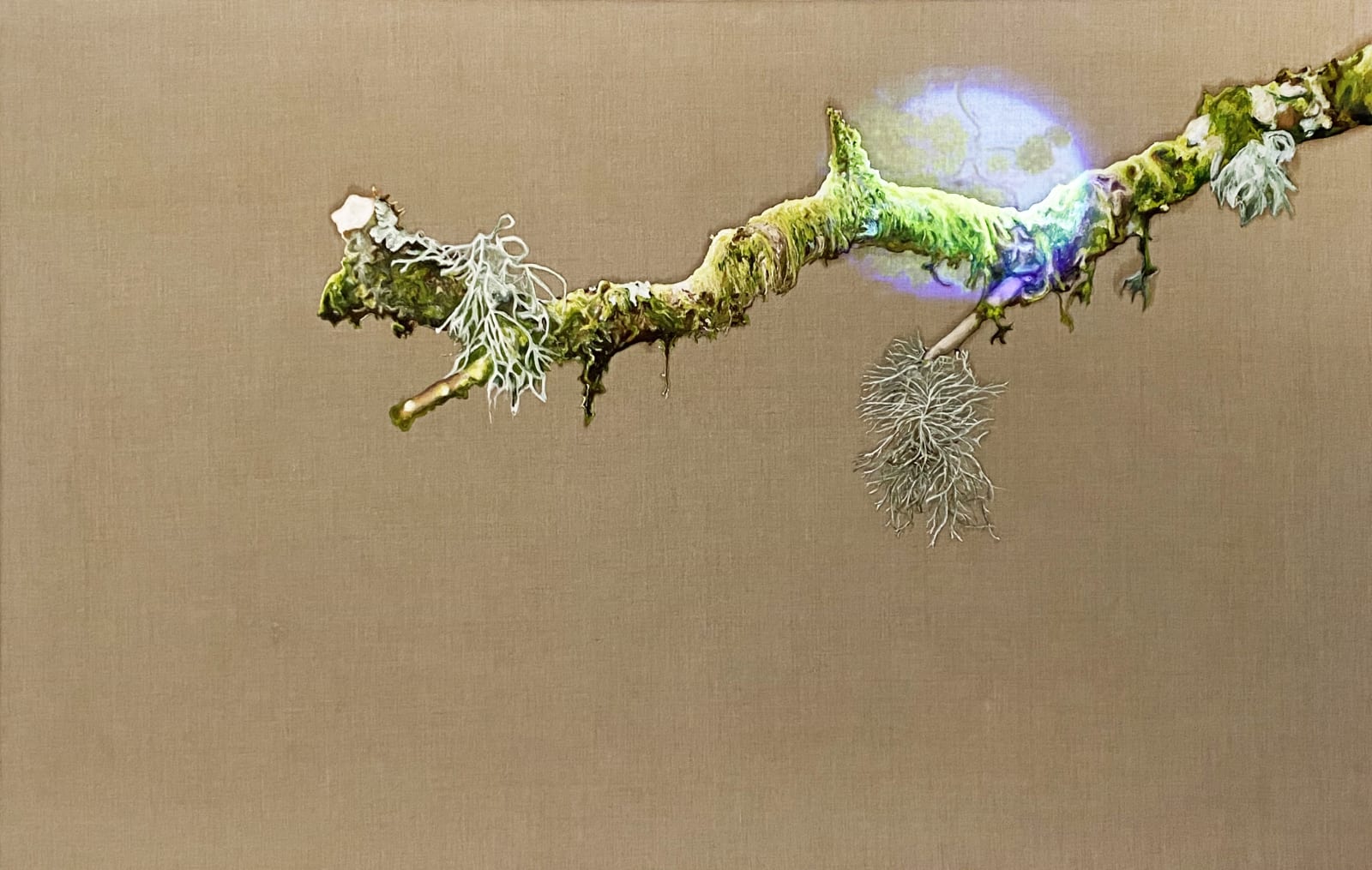 Rachy McEwan, Modern Synthesis, 2021