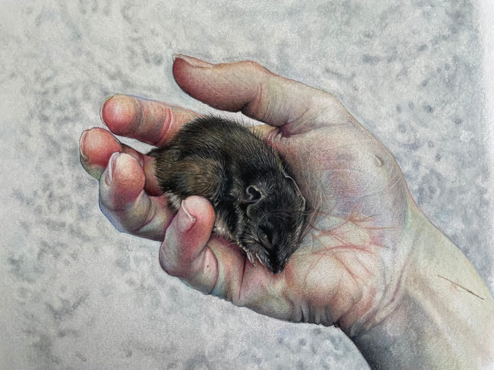 Shannon Louise Leslie, Mouse, 2023