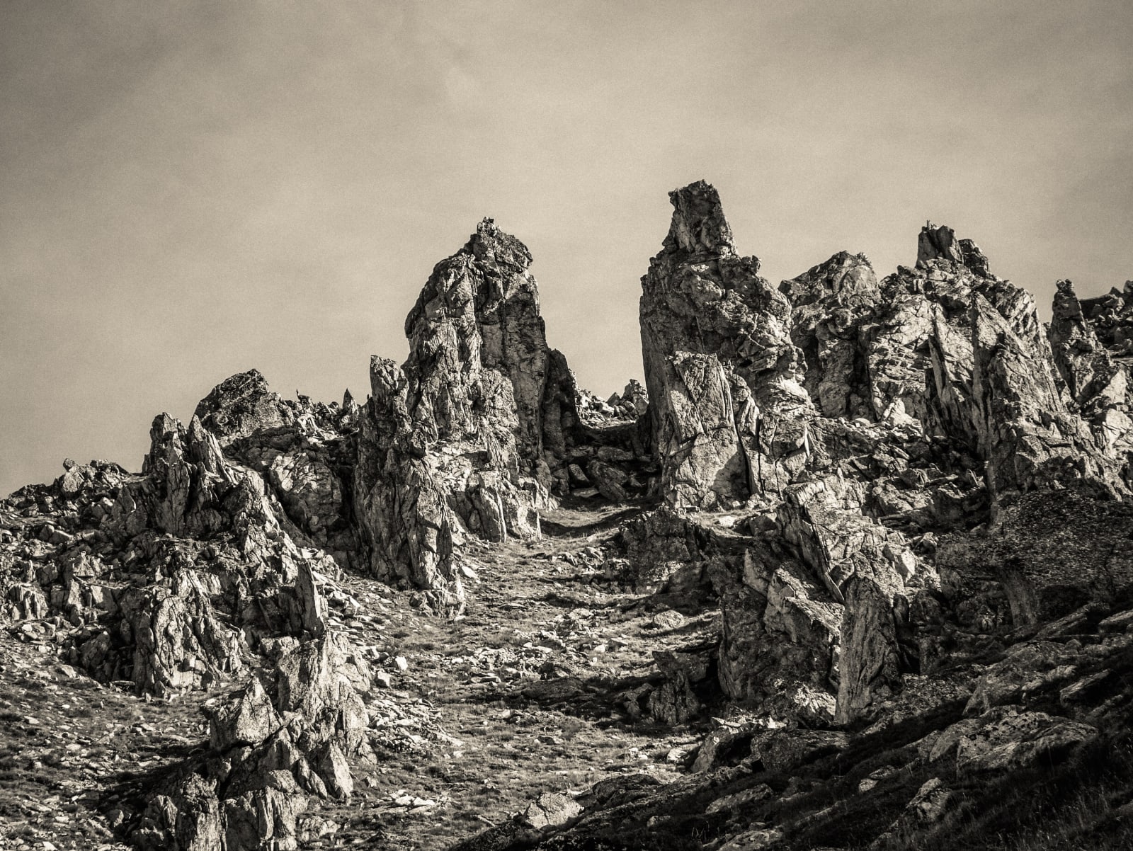 Decca Faire, Fenêtre d'Arpette, 2022