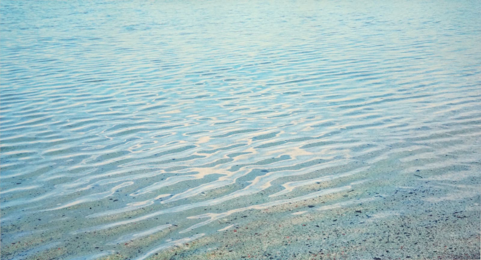 John Mackechnie RSA, Traigh III, 2017