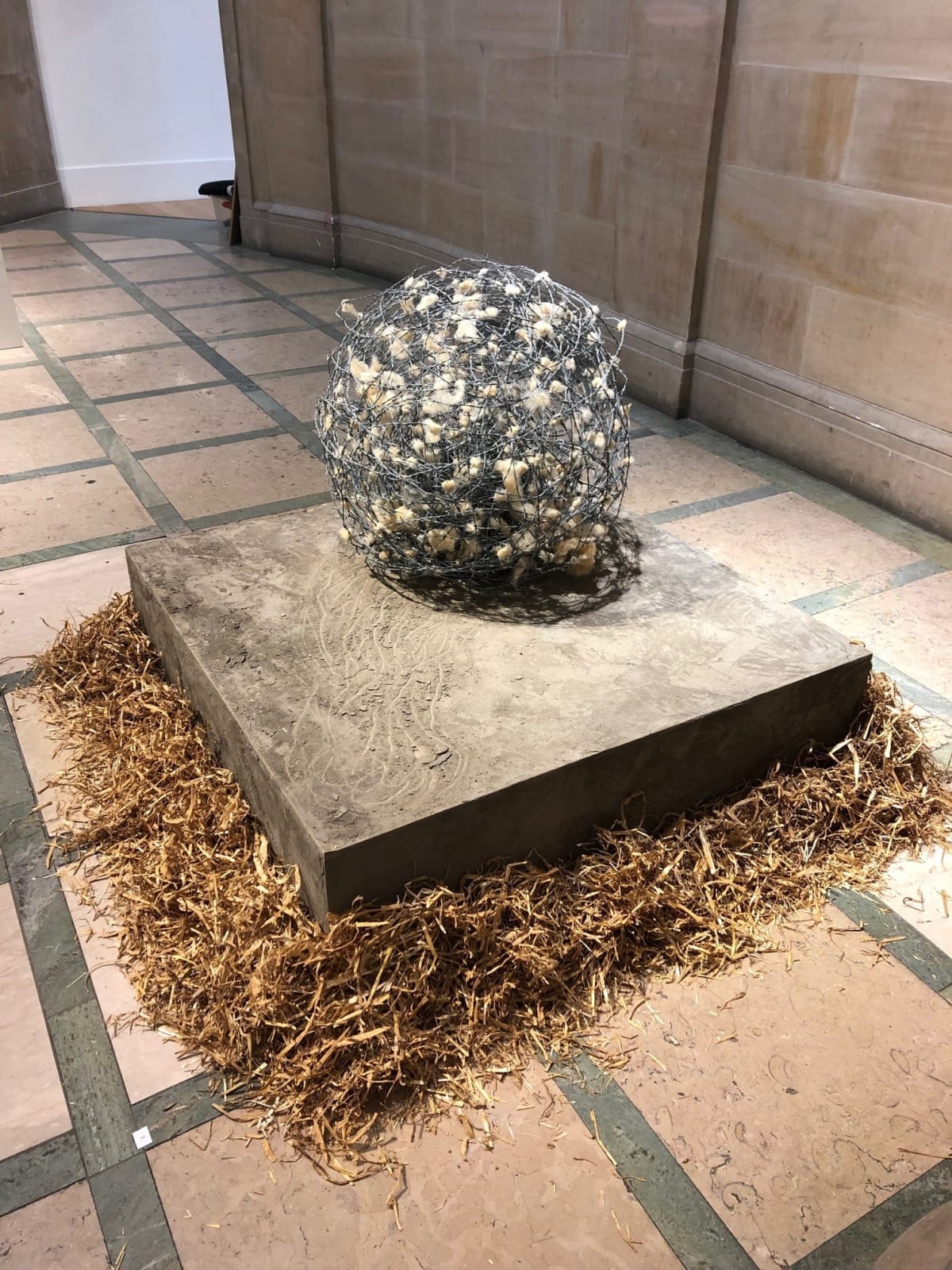 Maya Rose Edwards, Tumbleweed, 2023 | Royal Scottish Academy