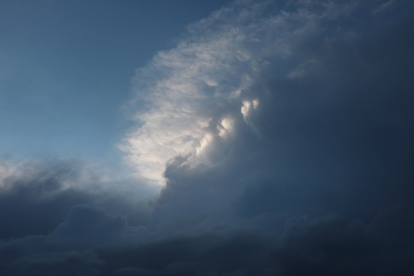 Jamie Wardrop, Gloaming I